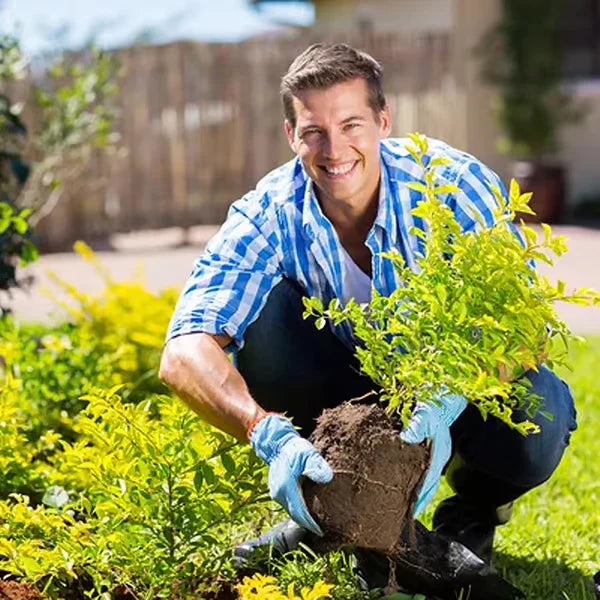 Limited Sale - BUY 1 GET 1 FREE Soil Improvement Loosening Agent