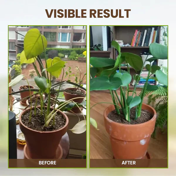 Limited Sale - BUY 1 GET 1 FREE Soil Improvement Loosening Agent